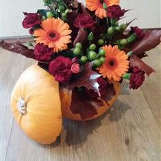Pumpkin- Autumnal