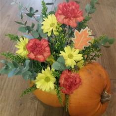 Pumpkin- Bright