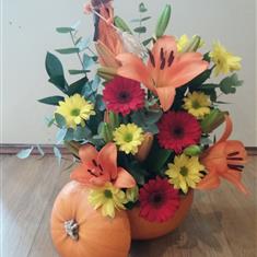 Pumpkin- Witch