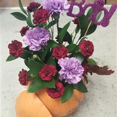 Pumpkin- BOO!