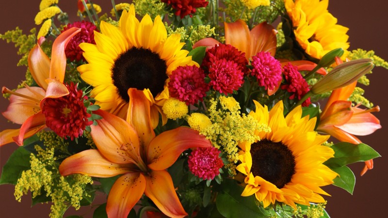 Branchies Bunches